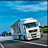 Правила перевозки грузов автомобильным транспортом 2020